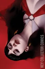 Variant Cover for Vengeance of Vampirella #15
