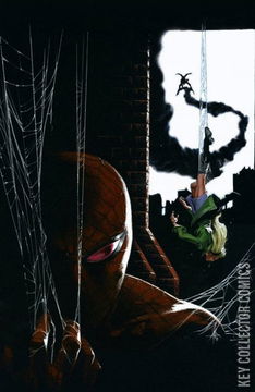 Variant Cover for Amazing Spider-Man #799