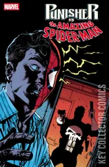 Cover for Punisher vs Spider-Man #4