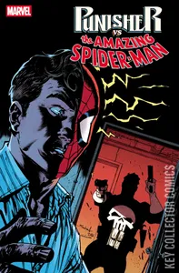 Punisher vs Spider-Man #4