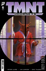 Cover for Teenage Mutant Ninja Turtles: Journeys #6