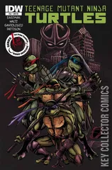 Variant Cover for Teenage Mutant Ninja Turtles #34
