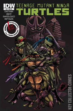Variant Cover for Teenage Mutant Ninja Turtles #34