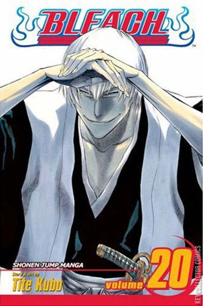 Cover art for Bleach #20