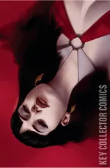 Variant Cover for Vengeance of Vampirella #17