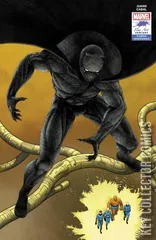 Cover for Black Panther #25