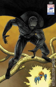 Variant Cover for Black Panther #25