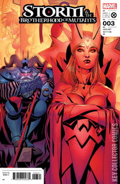Variant Cover for Storm and the Brotherhood of Mutants #3