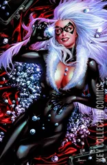 Variant Cover for Black Cat #1