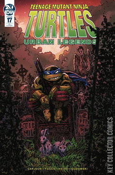 Variant Cover for Teenage Mutant Ninja Turtles: Urban Legends #17