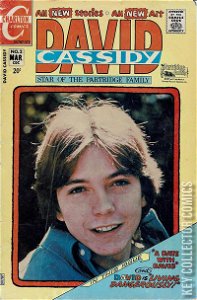 David Cassidy #2