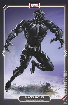 Variant Cover for Black Panther: Intergalactic #2