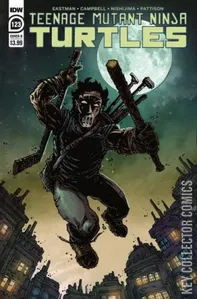 Teenage Mutant Ninja Turtles #123