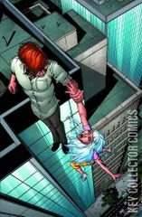 Variant Cover for Fly: The Fall #4