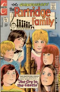 The Partridge Family #13
