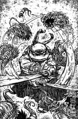 Variant Cover for Teenage Mutant Ninja Turtles #146