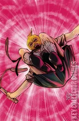 Variant Cover for Ninjettes #4
