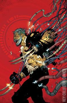 Variant Cover for Teenage Mutant Ninja Turtles: Shredder #8