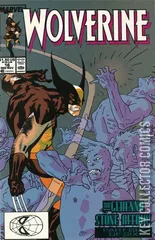 Cover for Wolverine #16