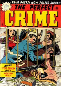 Perfect Crime #19
