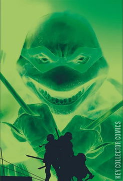 Variant Cover for Teenage Mutant Ninja Turtles: Boxed Set - Torpedo Comics