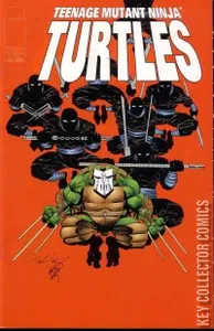 Teenage Mutant Ninja Turtles #7