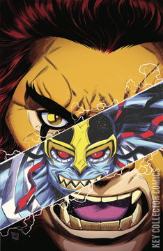 Variant Cover for Thundercats #18