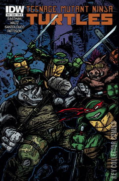 Variant Cover for Teenage Mutant Ninja Turtles #40