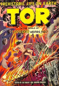 Tor #3