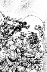 Variant Cover for Mighty Morphin Power Rangers / Teenage Mutant Ninja Turtles #1