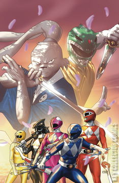 Variant Cover for Mighty Morphin Power Rangers / Usagi Yojimbo #1