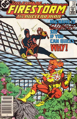 Firestorm the Nuclear Man