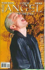Cover for Angel: After the Fall #2