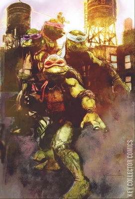 Teenage Mutant Ninja Turtles: Boxed Set - Torpedo Comics