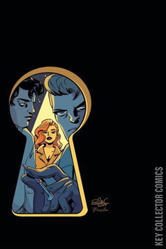 Variant Cover for Nancy Drew and the Hardy Boys: The Big Lie #3