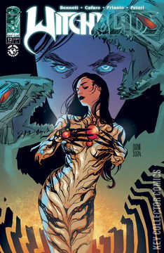 Variant Cover for Witchblade #12