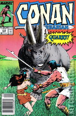 Variant Cover for Conan the Barbarian #210