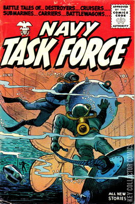 Navy Task Force