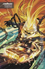 Variant Cover for Spirits of Vengeance #1