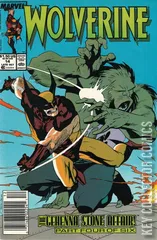 Variant Cover for Wolverine #14