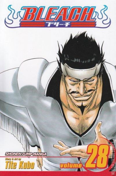 Cover art for Bleach #28