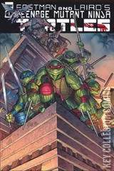 Cover for Teenage Mutant Ninja Turtles: Boxed Set - Torpedo Comics