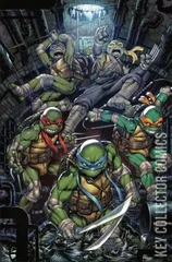 Variant Cover for Teenage Mutant Ninja Turtles #100