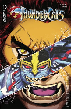 Variant Cover for Thundercats #18