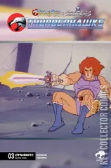 Variant Cover for Thundercats x Silverhawks: Thunderhawks #3