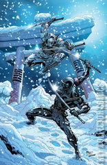 Variant Cover for G.I. Joe: A Real American Hero #250