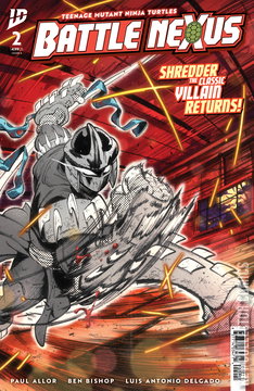 Variant Cover for Teenage Mutant Ninja Turtles: Battle Nexus #2