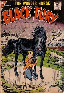 Black Fury #16