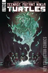 Cover for Teenage Mutant Ninja Turtles #132