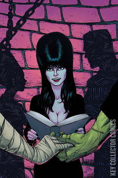 Variant Cover for Elvira: Mistress of the Dark #4
